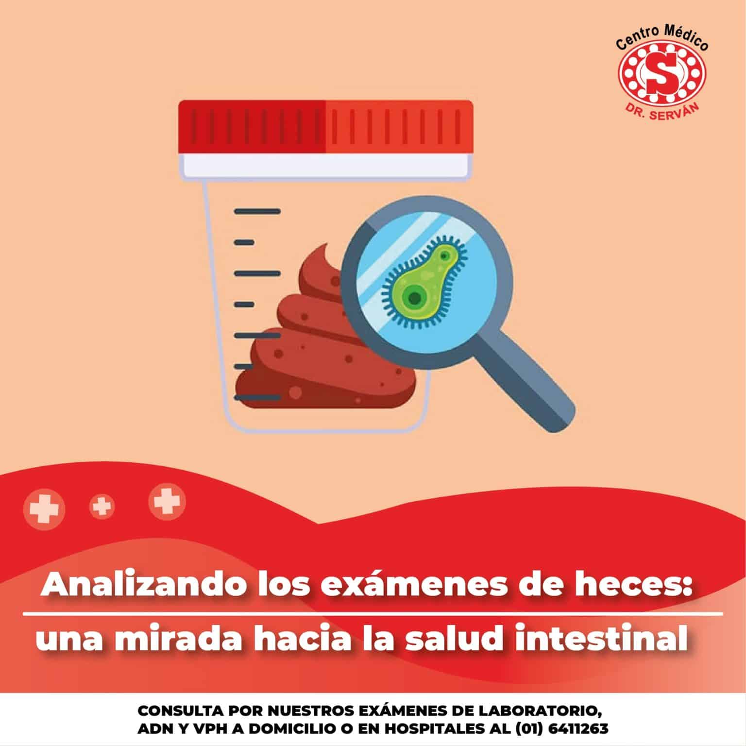 Analizando Los Ex Menes De Heces Una Mirada Hacia La Salud Intestinal