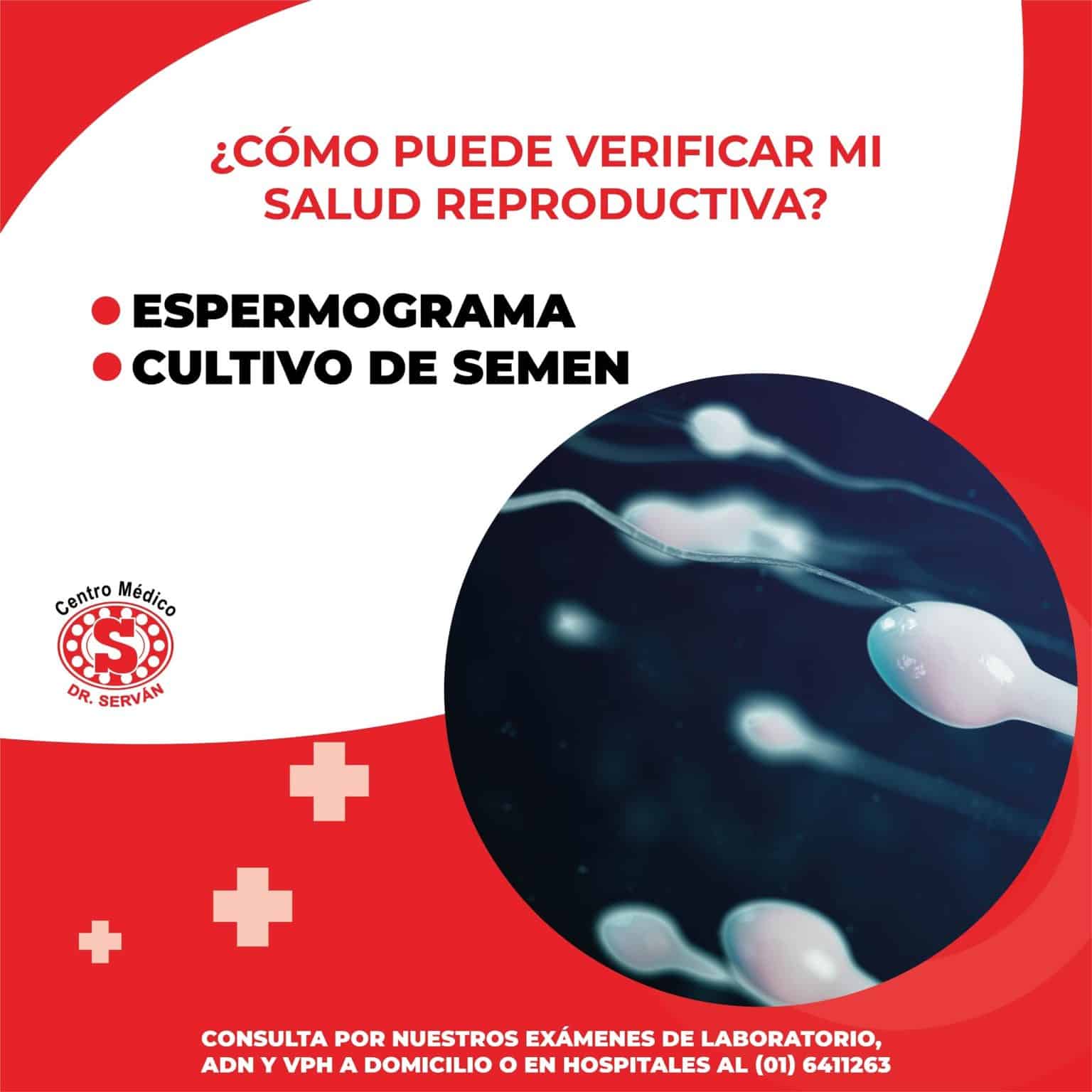 ¿cómo Puede Verificar Mi Salud Reproductiva Espermograma Cultivo De Semen Centro Médico Dremk 8974