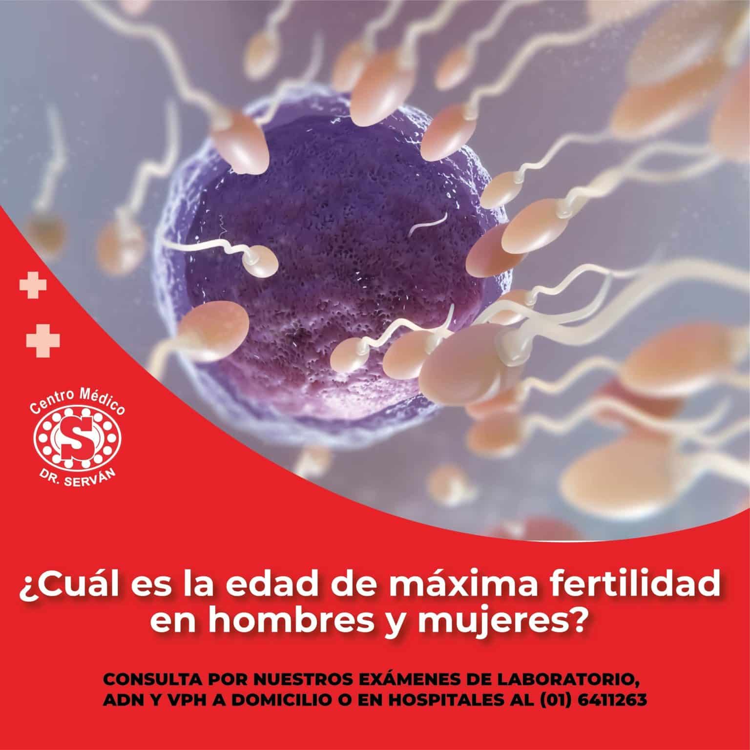 ¿cuál Es La Edad De Máxima Fertilidad En Hombres Y Mujeres Centro Médico Dr Serván